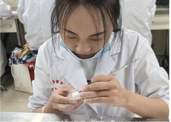 巧手雕化 形刻于心丨口腔医学技术专业技能展 第 3 张 巧手雕化 形刻于心丨口腔医学技术专业技能展 第 3 张