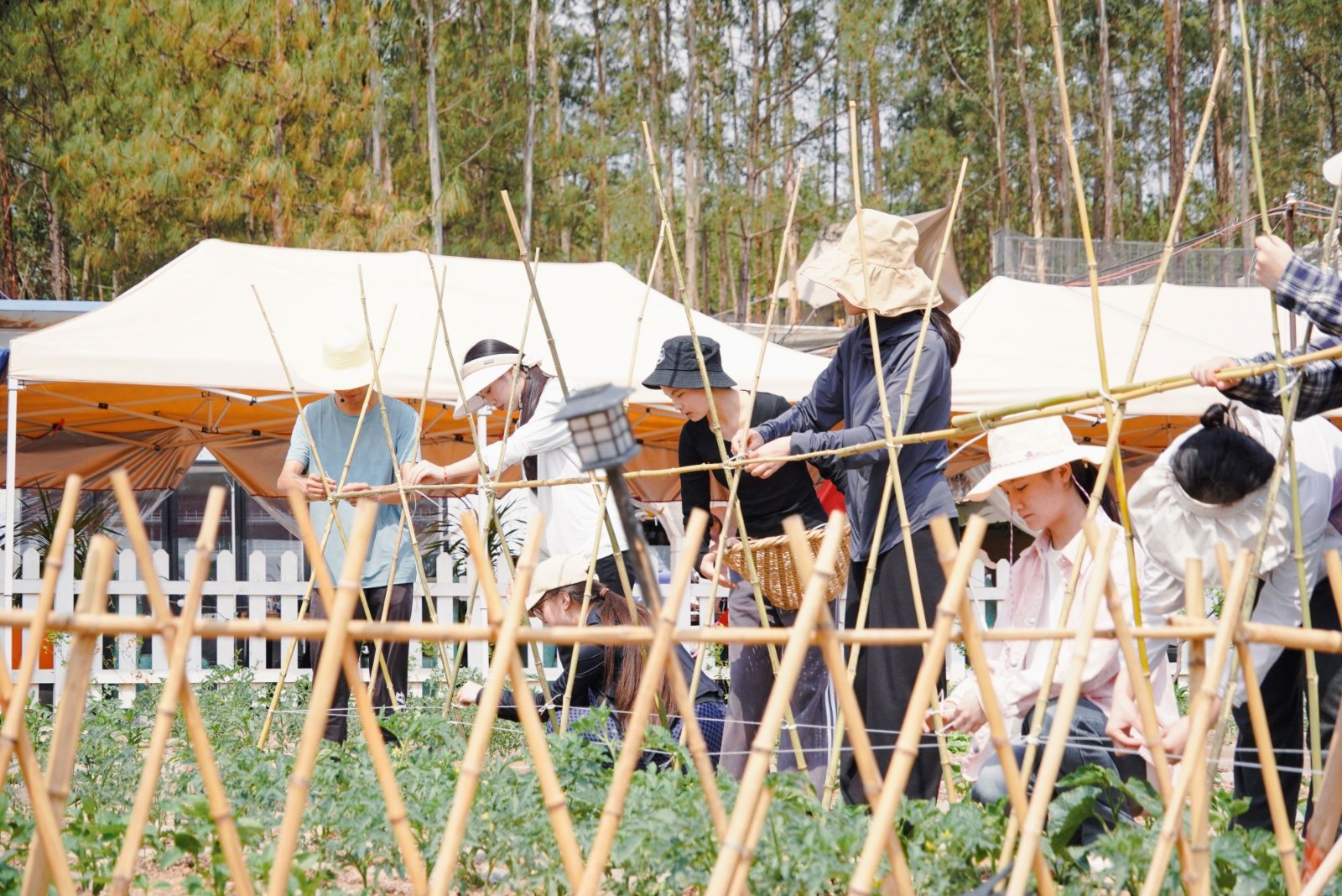 DSC09267.jpg DSC09267.jpg