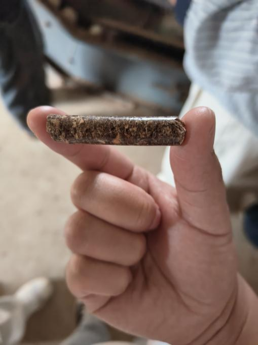 暑期社会实践 | 生物质燃料颗粒+自动化烘烤：烟草加工迈向“零碳”未来 第 14 张