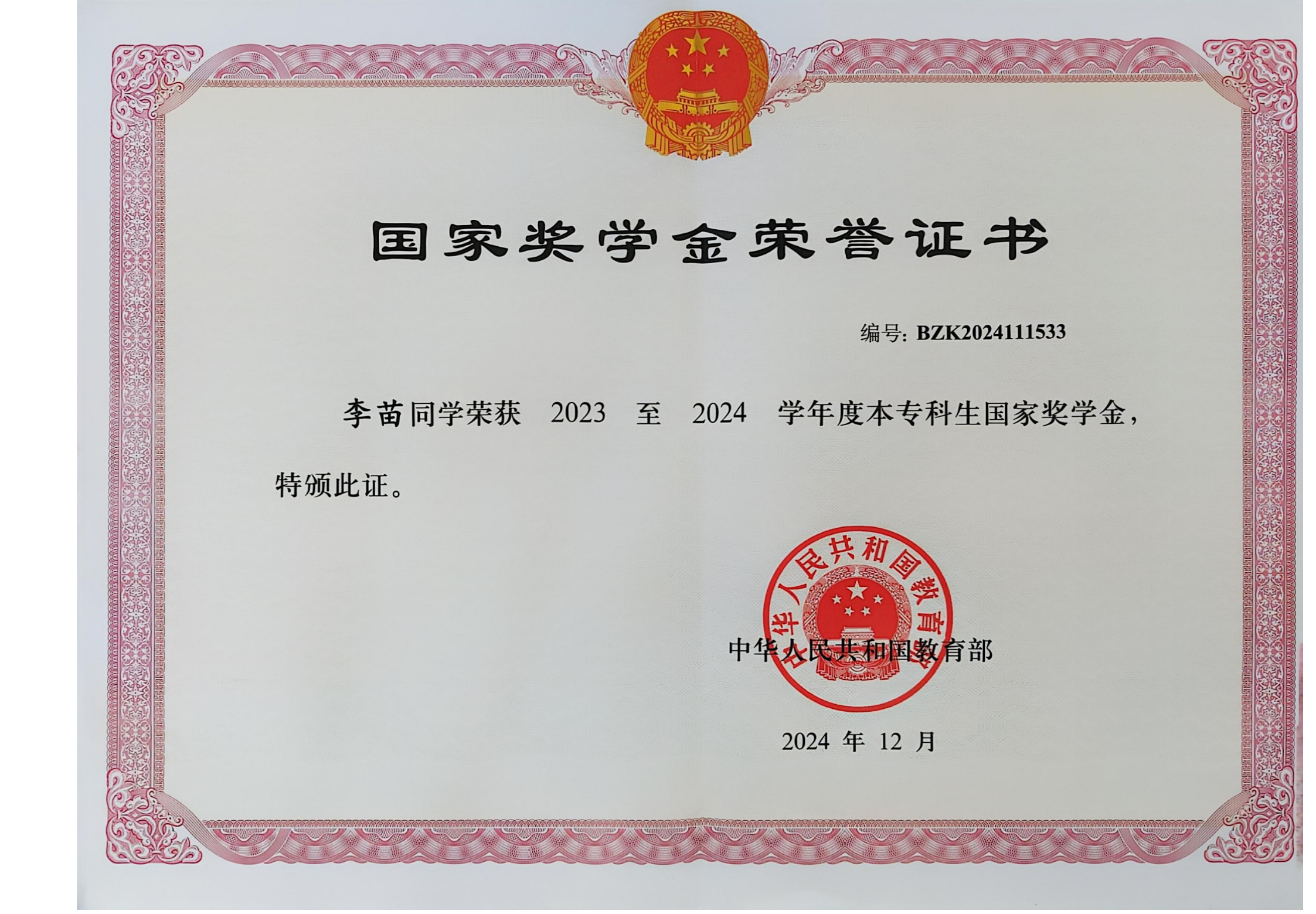 国家奖学金获得者李苗：以奋斗之笔绘就青春画卷 第 1 张