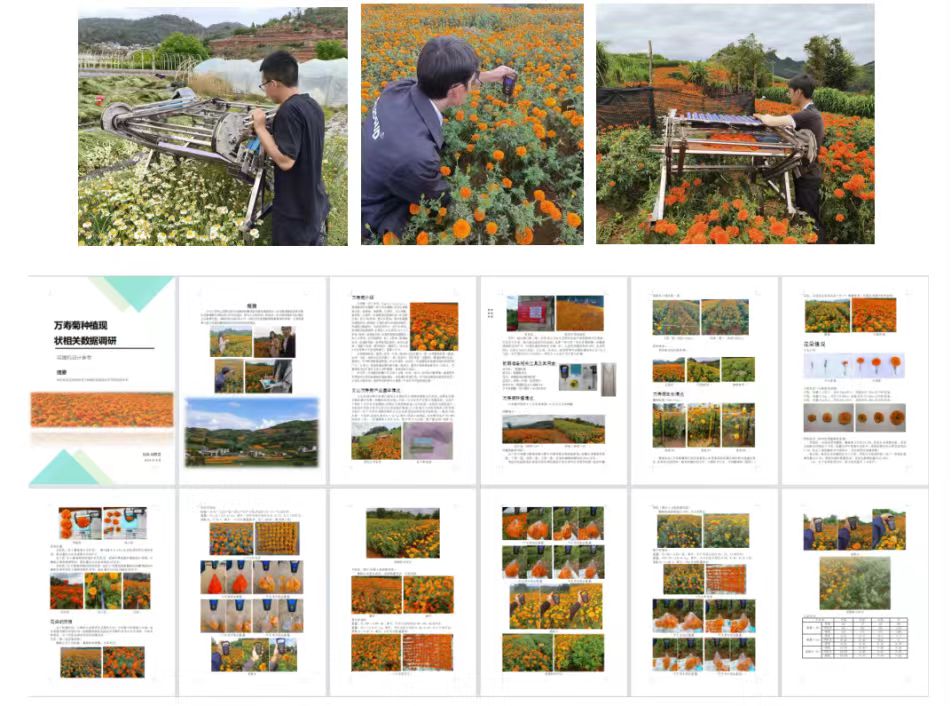 图5.下地实验与调研报告(1).jpg